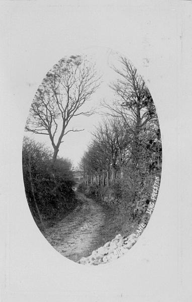 Green Gate Lane - postcard  1911 .jpg - Green Gate Lane, Long Preston. A postcard, posted on Dec 27th 1911 to J & H Armistead at Poplar House.  The reverse is shown in the next image   ( The trees here are presumably the ones which now from the "tunnel" over the lane ) 